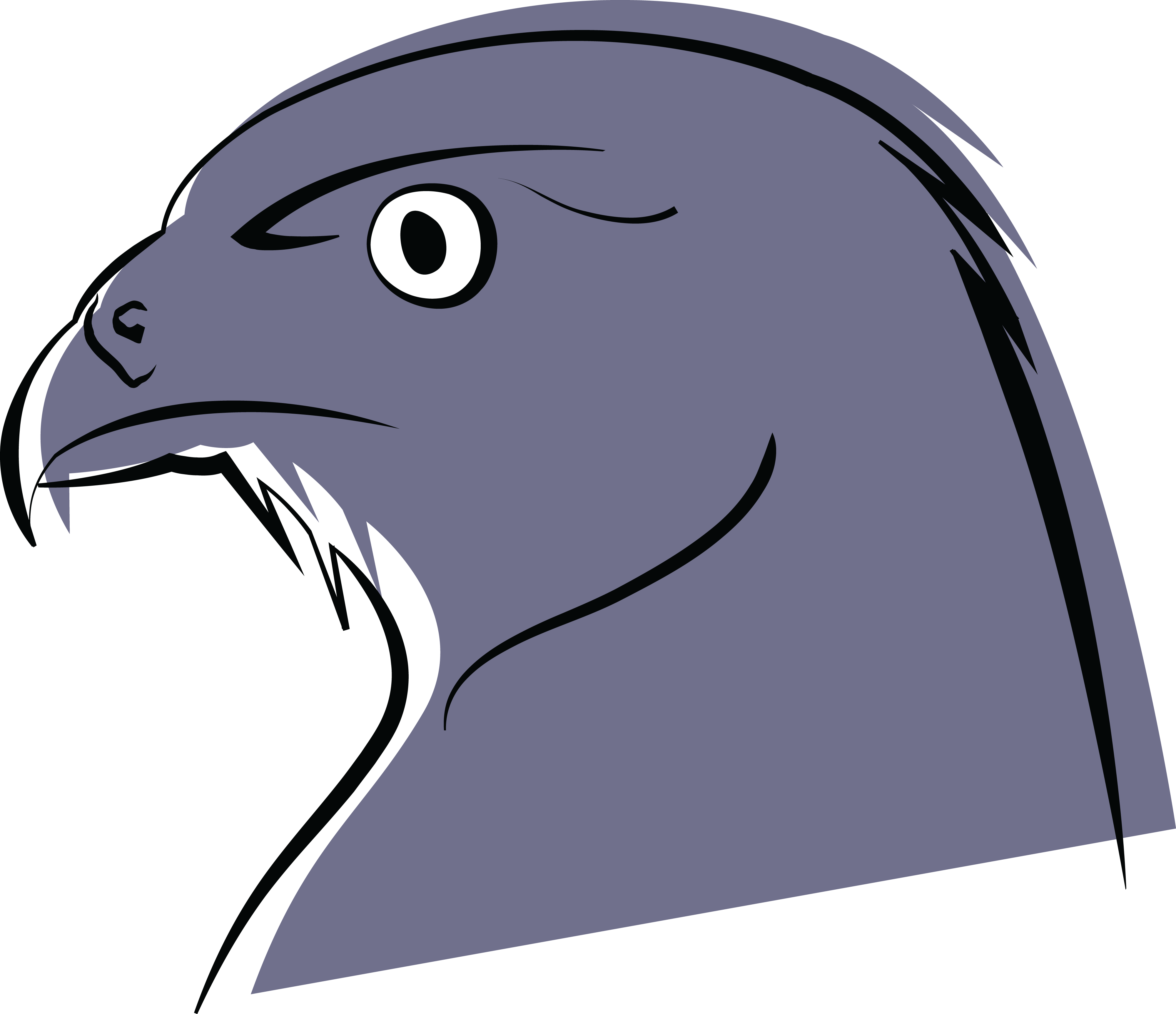 4000x3449 Free Clipart Of A Falcon