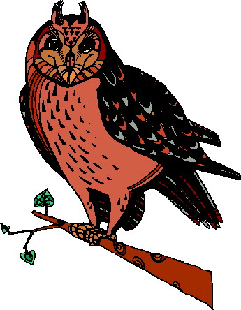 345x444 Owls Clip Art Farm