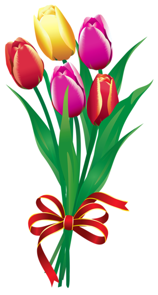 322x600 Spring Tulips Bouquet Png Clipart Picture Clipart