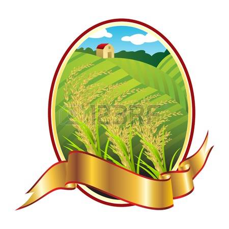 450x450 Rice Harvest Clipart