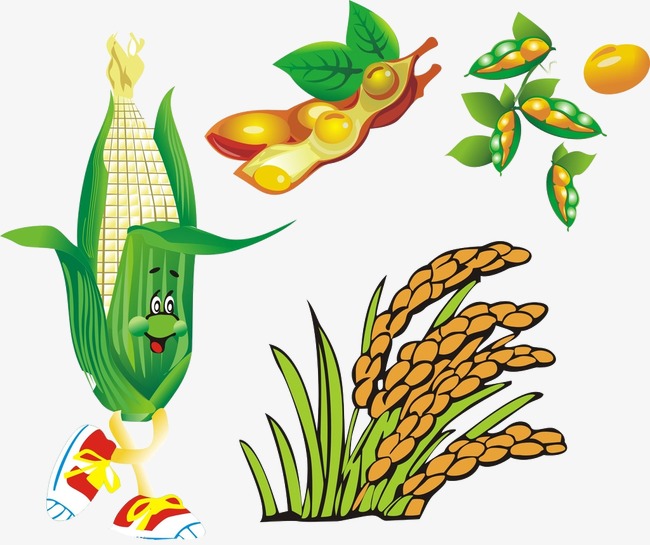 650x545 Autumn Harvest Fruit, Fall, Autumn Png Image And Clipart For Free