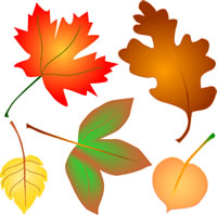 200x198 Leaves Clipart Fall Leaves
