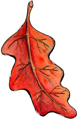 310x480 291 Best Clip Art, Etc. Halloween Amp Fall Images