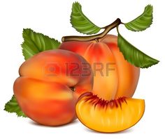 236x200 Fall Pumpkin Clip Art Pumpkins At Harvest Color Clipart