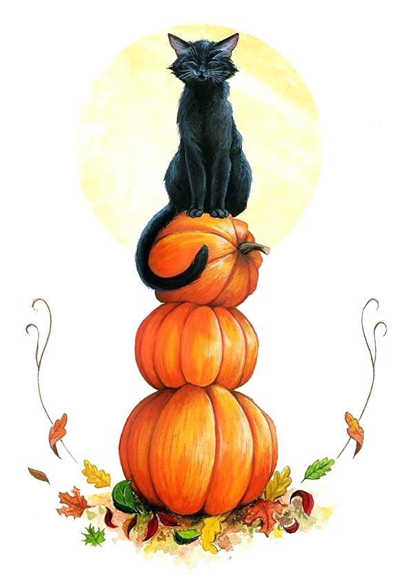 599x844 Corn Stalks Clip Art Themusicfoundry Future