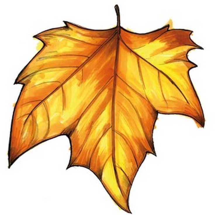 736x736 81 Best Images On Clip Art, Fall