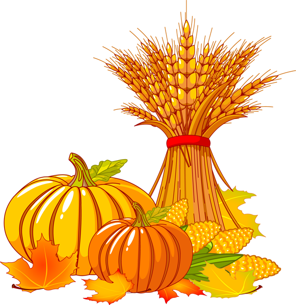 581x600 Transparent Thanksgiving Clipart Collection