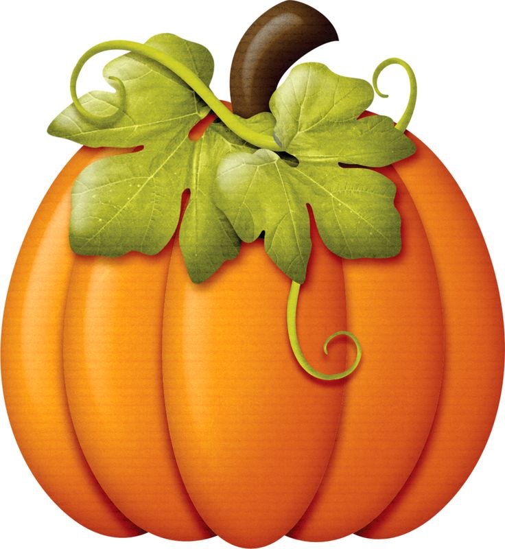 736x800 Rustic Pumpkin Clipart