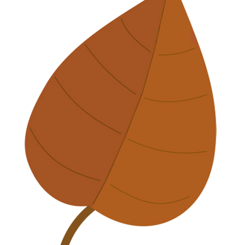 1024x1024 Fall Leaves Images Clip Art Math Clipart