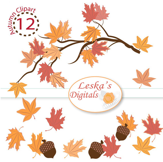 570x567 Branch Clipart, Leaf Clipart, Acorn Clipart, Digital Leaves