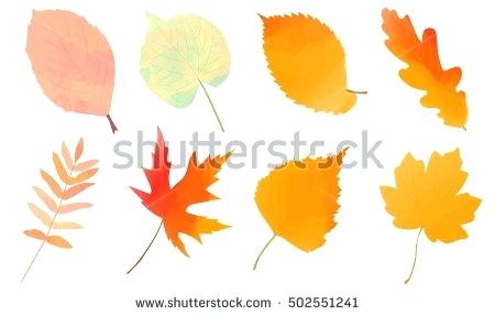 450x286 Fall Leaves Clip Art Images Om Autumn Leaves Illustrations Tree