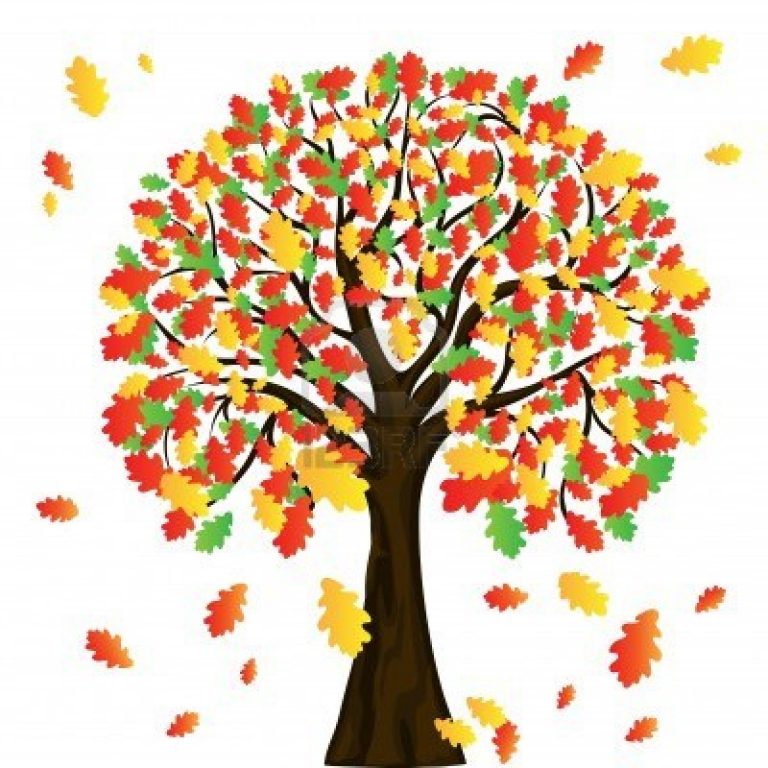 768x768 Clipart Autumn Tree Autumn Clip Art 93