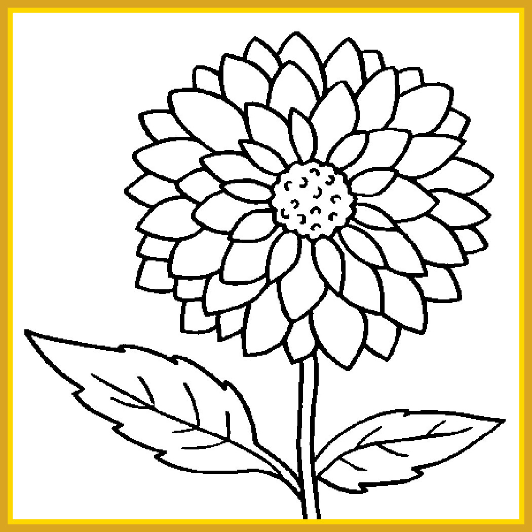 1050x1050 Printable Picture Sunflower Pictures To Color [Printable