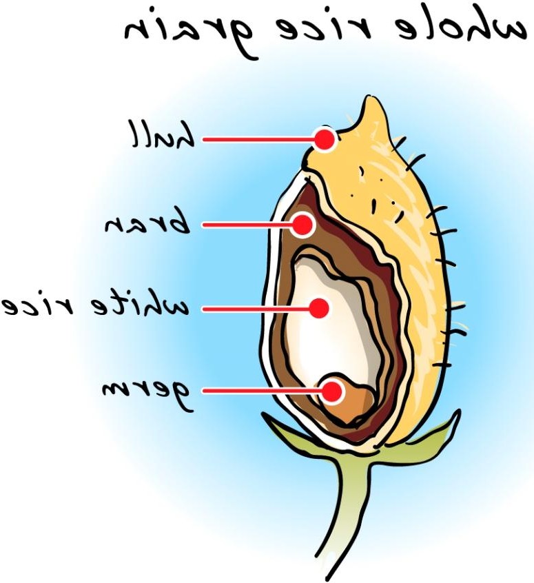 775x846 Beer And Pizza Clipart