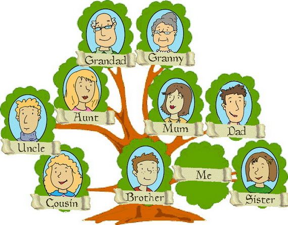 570x446 Pictures Of Family Trees