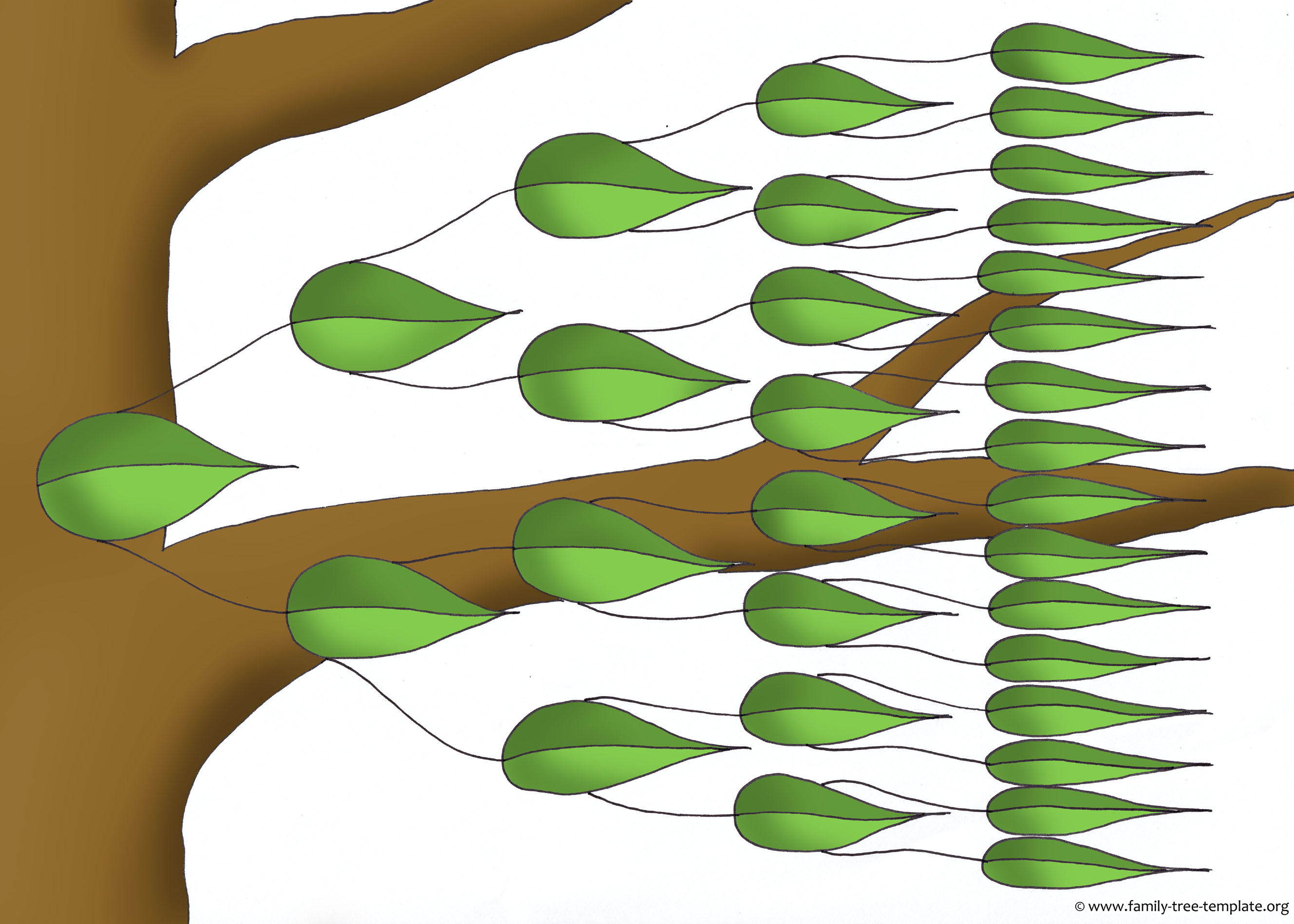 2657x1898 Family Tree Template