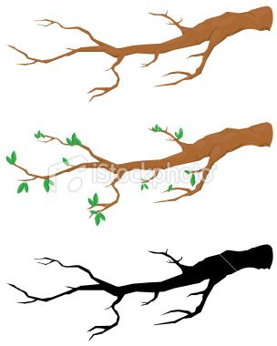 304x380 Fancy Tree Branch Clip Art