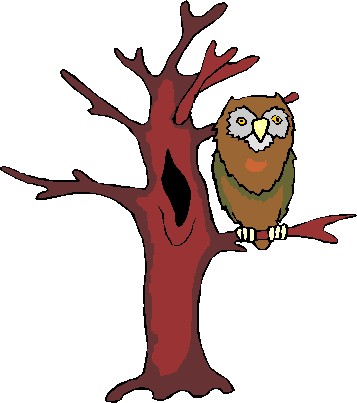 357x403 Free Owl Clipart Image