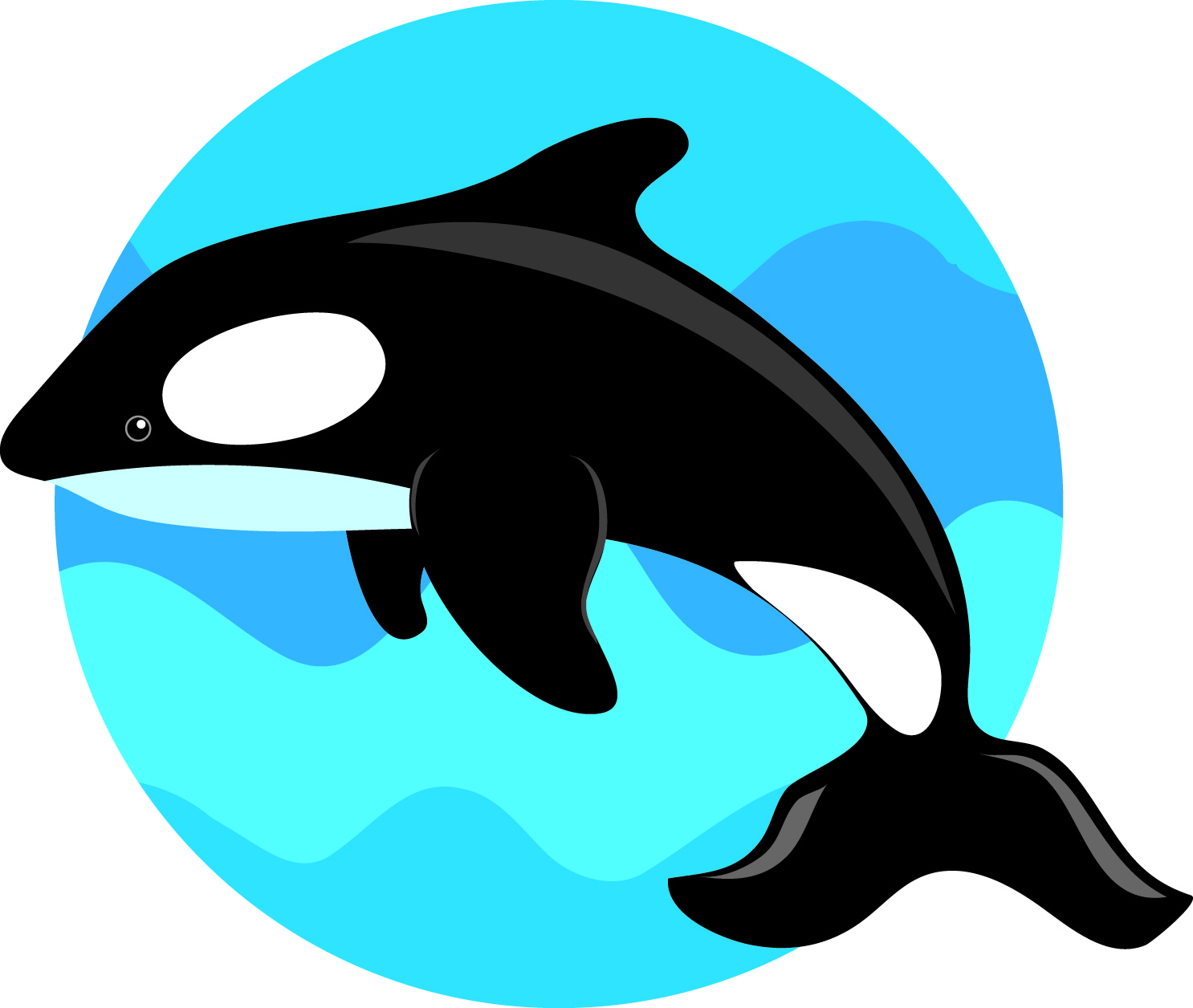 1486x1256 Whale Clipart Orca Free Collection Download And Share Whale