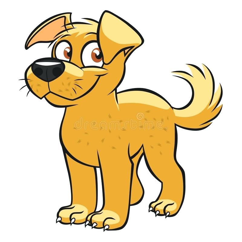 800x800 Cartoon Animal Clip Art Clinicaltravel Work