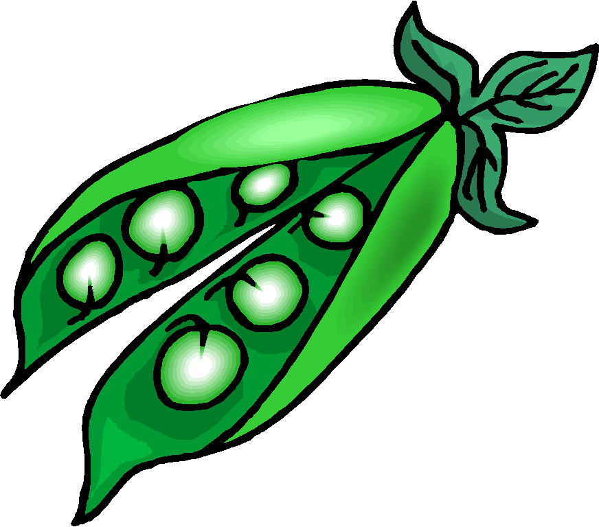 872x768 Bean Clipart Green Jelly