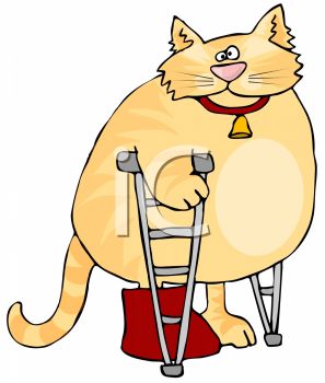 297x350 Royalty Free Clipart Image Cartoon Of A Fat Cat On Crutches