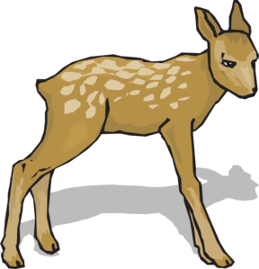 288x299 Suspicious Fawn Clip Art