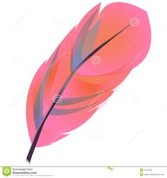 236x252 Wispy Pink Feather Clip Art Illustrations On Creative Market