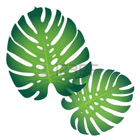 450x450 Fern Clipart