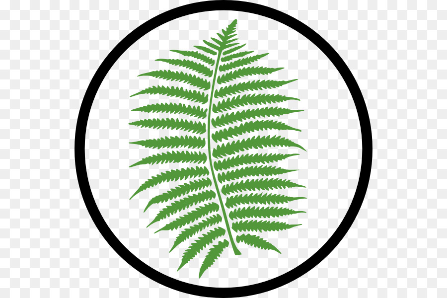 900x600 Fern Leaf Clip Art