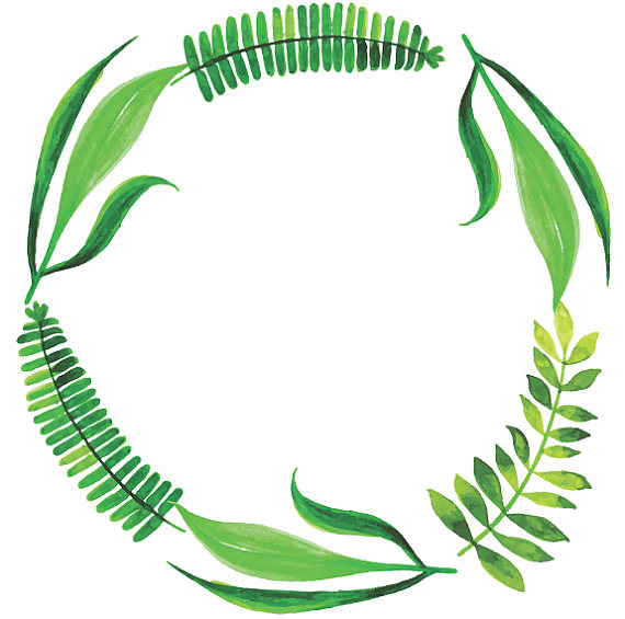 570x565 Fern Wreath Tropical Wreath Watercolor Leaves Tropical Clipart