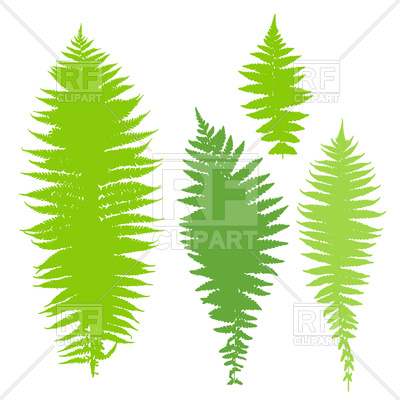 400x400 Fern Leaves Set Royalty Free Vector Clip Art Image