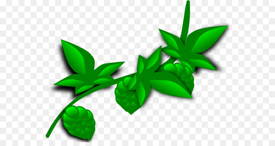 900x480 Plant Coca Clip Art
