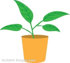 300x269 Pot Plant Clipart Fern Plant Free Collection Download And Share