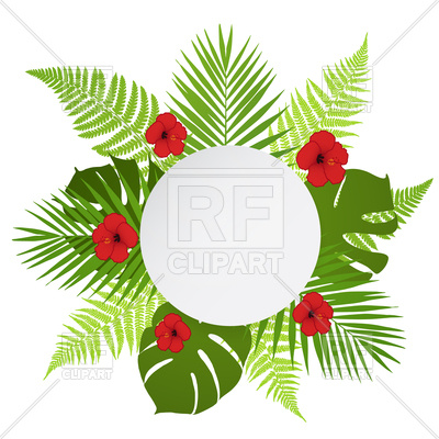 400x400 Round Banner With Palm, Fern And Hibiscus Leaves Royalty Free