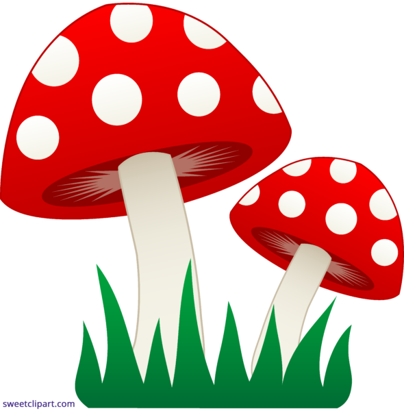 590x600 All Clip Art Archives