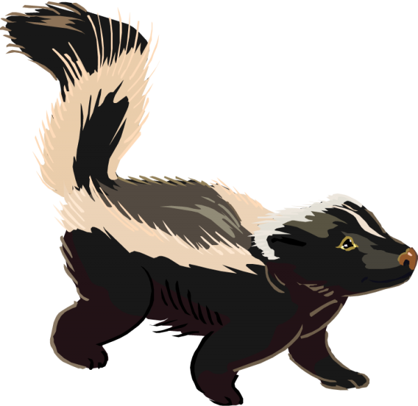 600x583 Skunk Clipart 5 Nice Clip Art