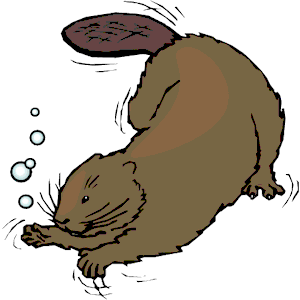 300x300 Beaver Clipart Swimming
