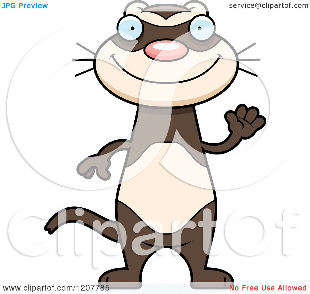 1080x1024 Cartoon Of A Waving Skinny Ferret