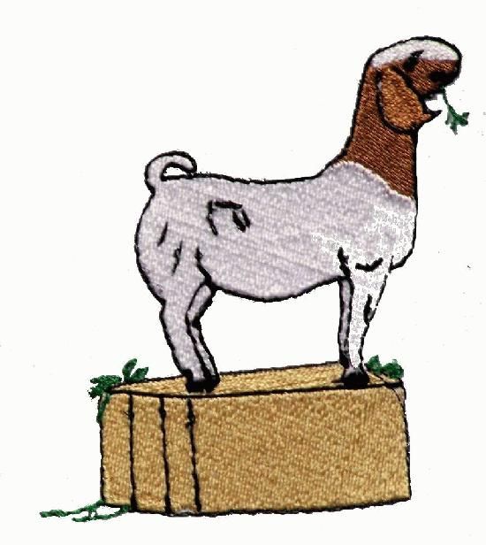 550x616 Boer Goat Clip Art Boer Goat Clip Art Pictures Boer Goats