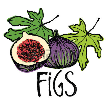 450x450 Clipart Of Fig Tree With Fruits