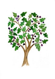 235x334 Fig Flower Cliparts Free Download Clip Art