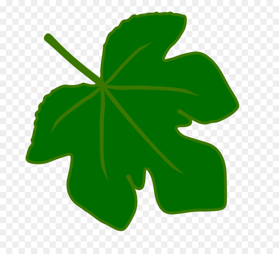 900x820 Fig Leaf Common Fig Clip Art