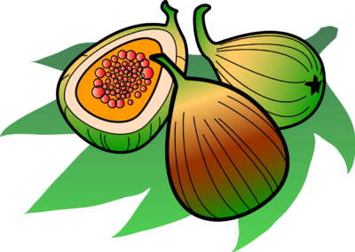 400x284 Image Figs Food Clip Art
