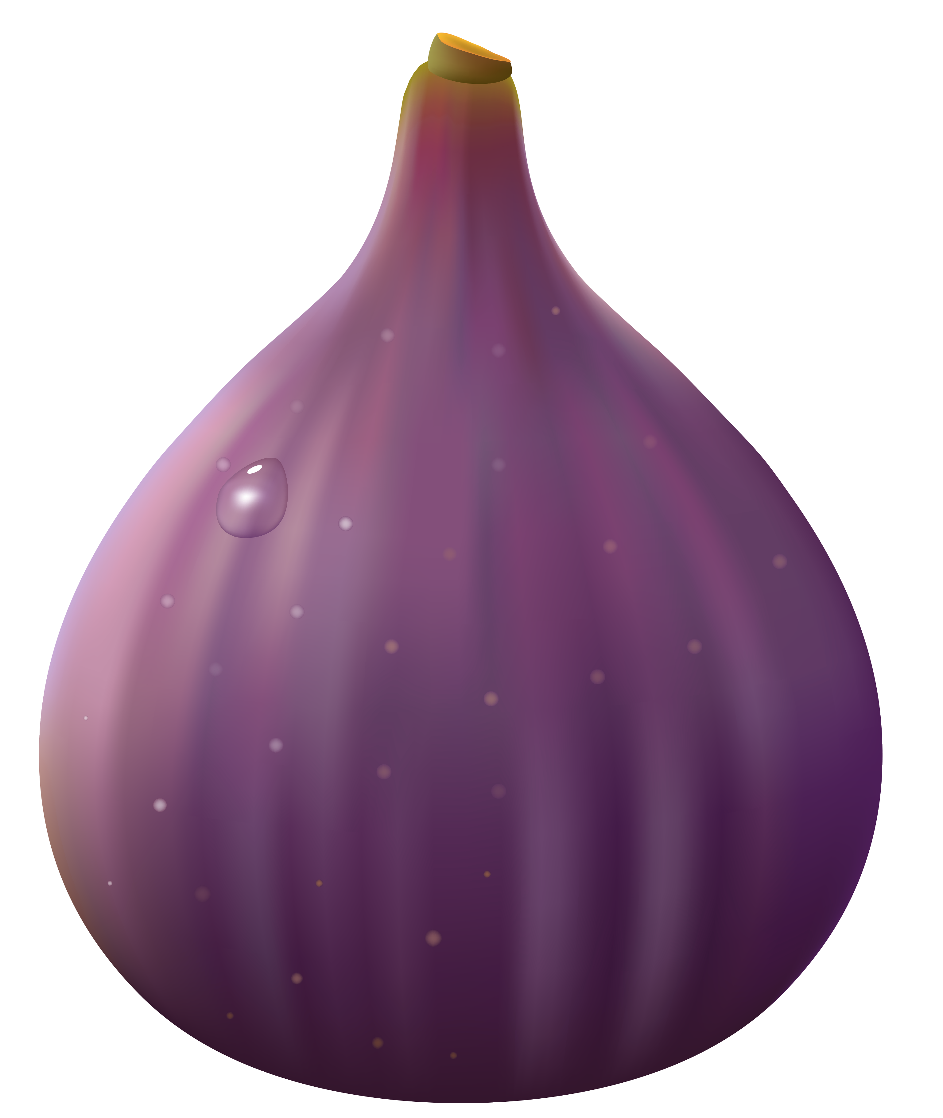 3072x3642 Transparent Fig Png Clipart Pictureu200b Gallery Yopriceville