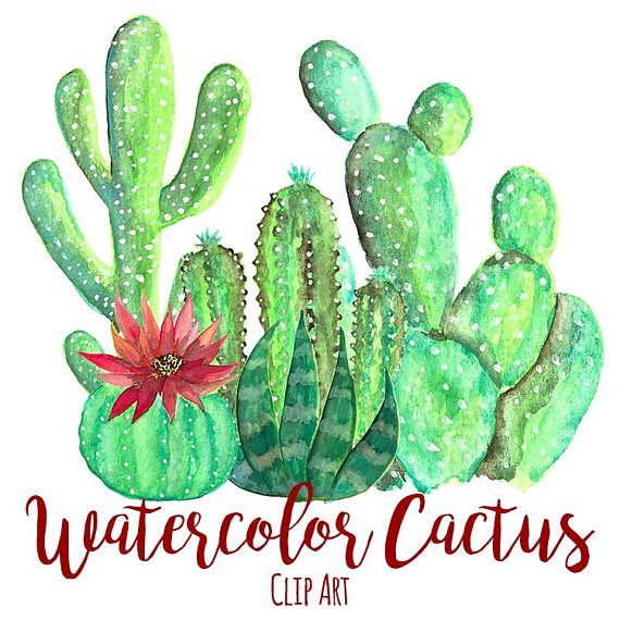 570x570 Watercolor Cactus Clip Art Custom Invitations Clip Art