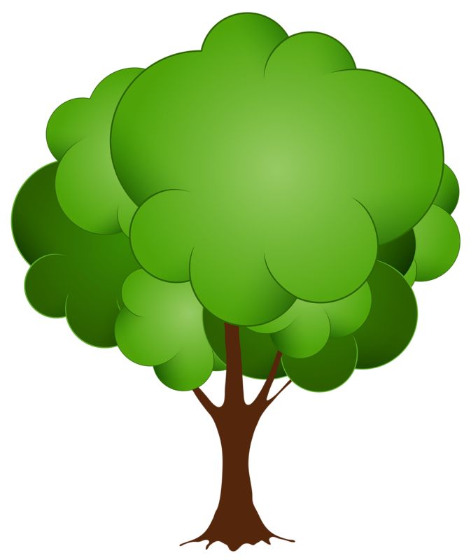 Fig Tree Clipart