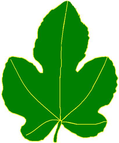 409x489 Clip Art Tree No Leaves. Tree Png Image