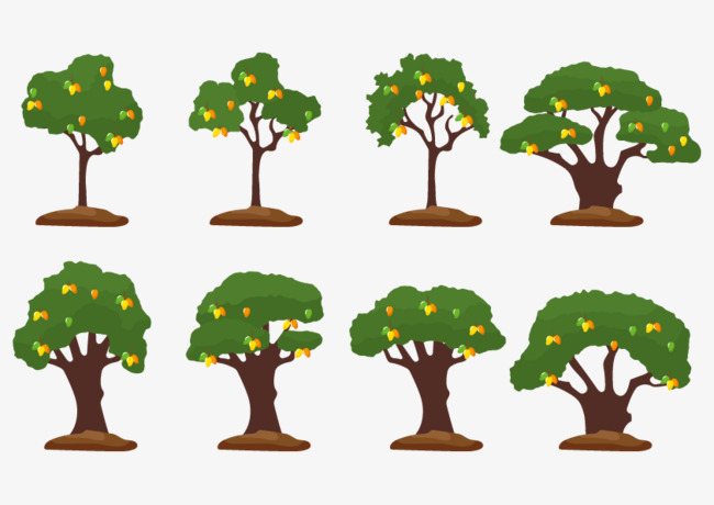 650x460 Fig Trees Grow, Growing Up, Sapling, Trees Png And Vector For Free