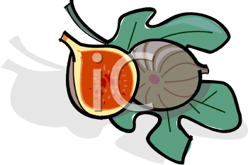 350x233 Fig Clipart Fresh